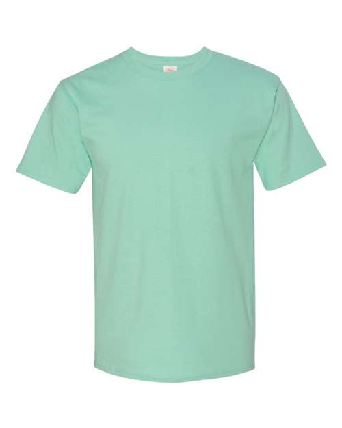 Hanes Unisex Authentic T-Shirt